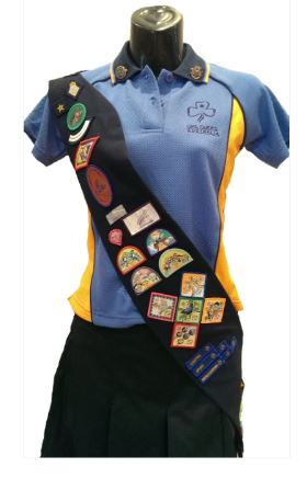Girl Guide Badges explained