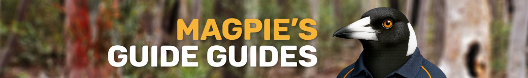 Magpies Youtube Guides